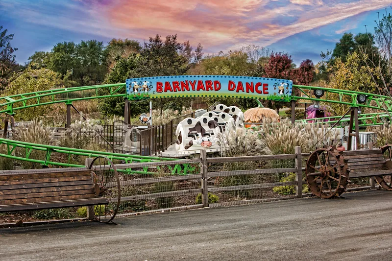Roller COWster family coaster at Bengtson's Pumpkin Farm, Homer Glen IL