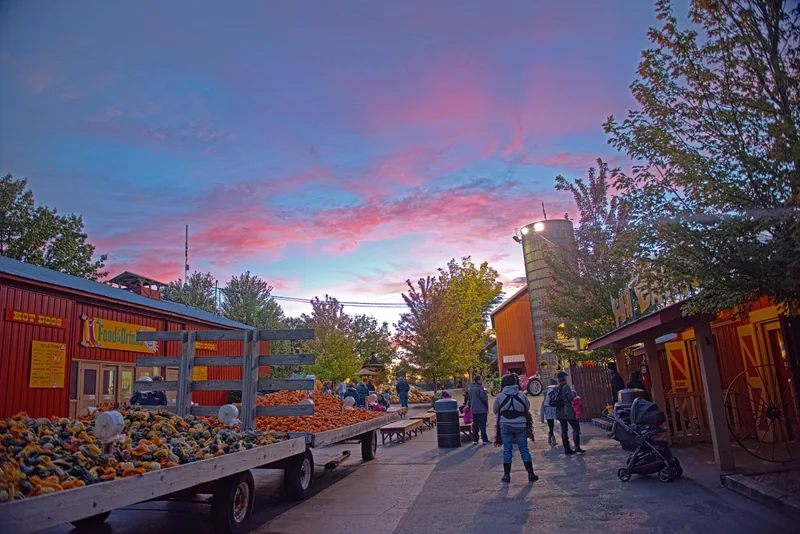 Pumpkins stacked on a trailer outside the farm market at dusk