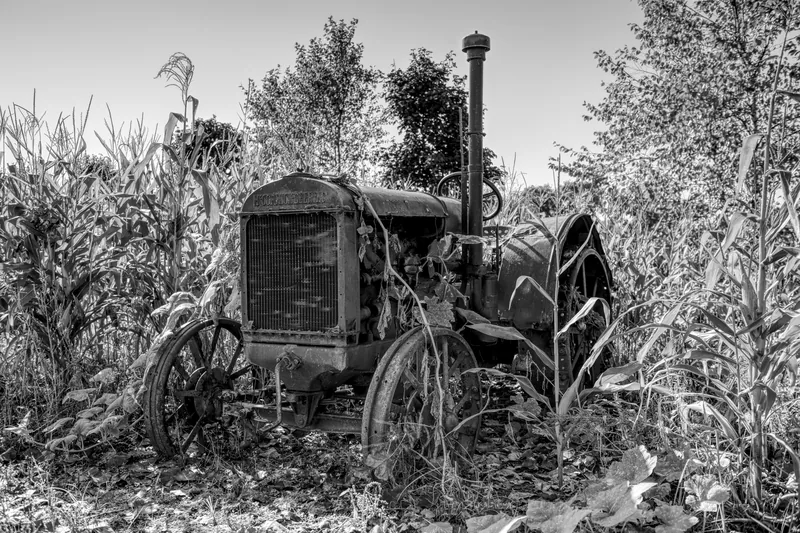 Siegel's Cottonwood Farm tractor in cornfield and heritage grounds in Lockport, IL