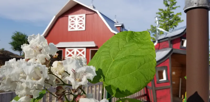 Sonny Acres historic red barn and antique tractor farmyard in West Chicago, IL